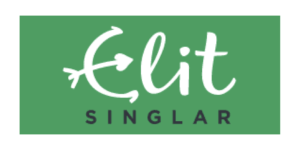 Elitsinglar